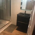 Elegant Avec Sauna Hyper Centre * サン・ディジエ