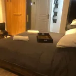 Elegant Avec Sauna Hyper Centre サン・ディジエ