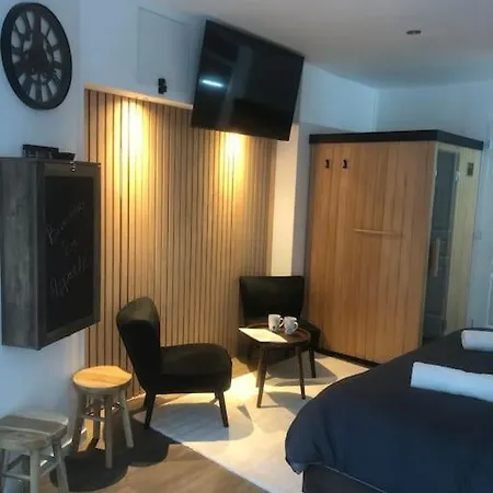 Elegant Avec Sauna Hyper Centre