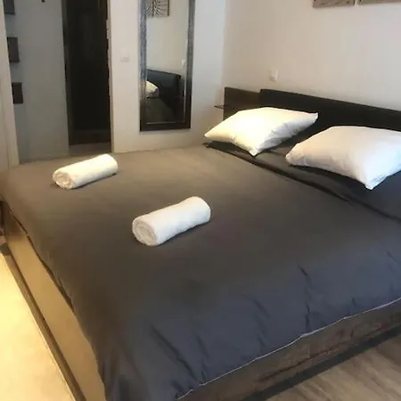 Elegant Avec Sauna Hyper Centre アパート サン・ディジエ