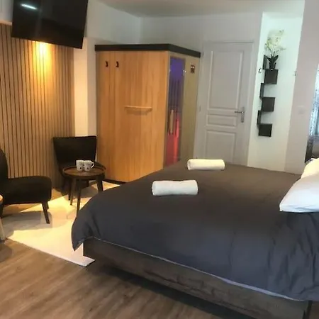 Elegant Avec Sauna Hyper Centre