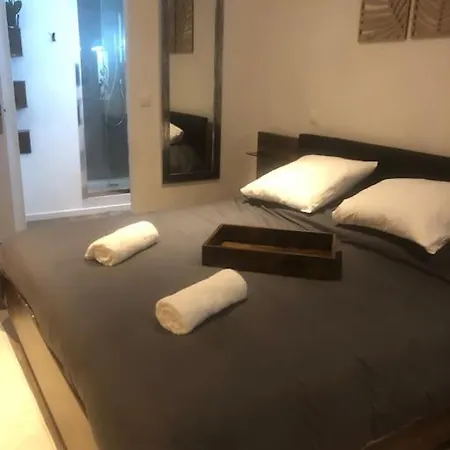 Elegant Avec Sauna Hyper Centre アパート サン・ディジエ