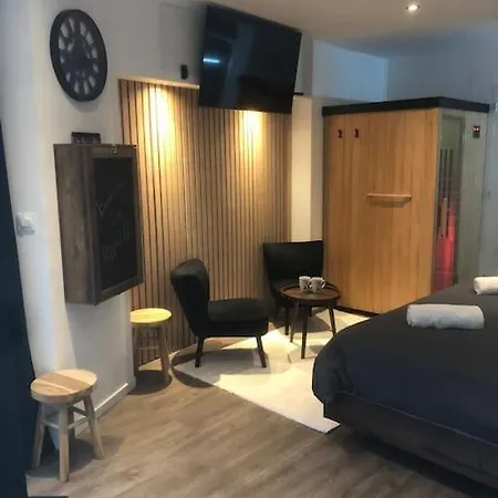 Elegant Avec Sauna Hyper Centre アパート