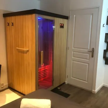 Elegant Avec Sauna Hyper Centre *