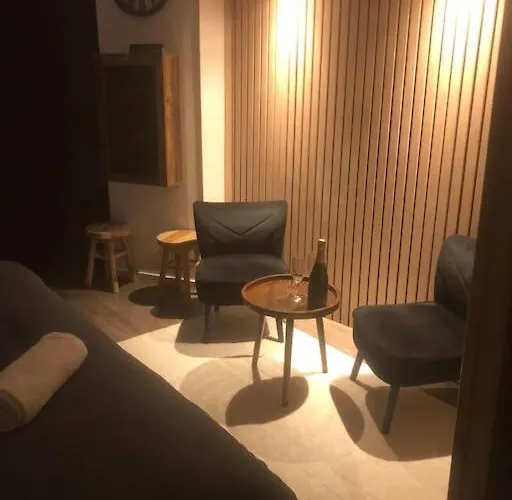 élégant Avec Sauna Hyper Centre Appartement