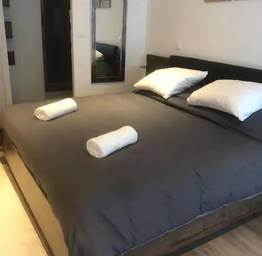 élégant Avec Sauna Hyper Centre Appartement Saint-Dizier