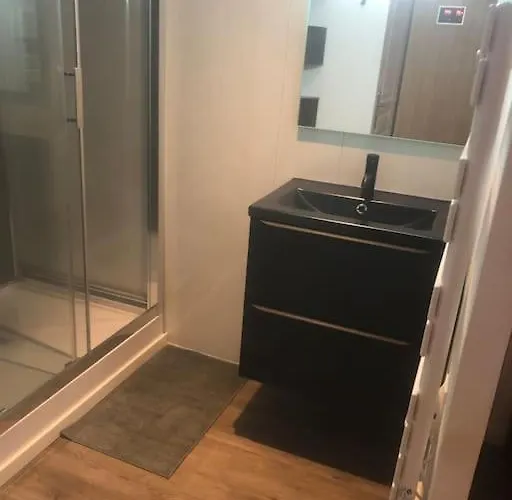 élégant Avec Sauna Hyper Centre * Saint-Dizier