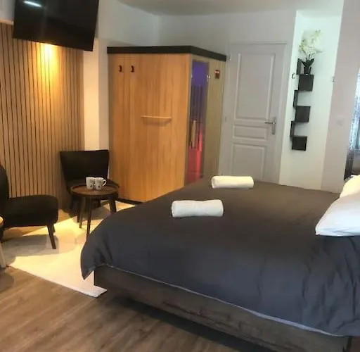 élégant Avec Sauna Hyper Centre