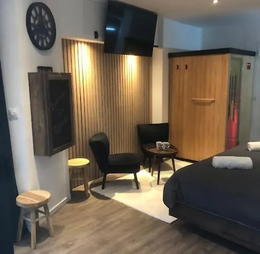 élégant Avec Sauna Hyper Centre Appartement